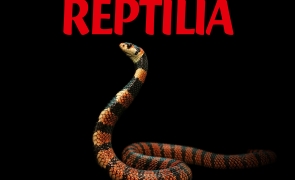 Reptilia - Grigore Antipa