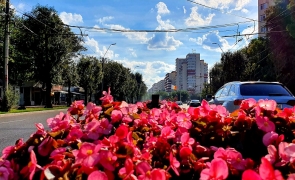 blocuri strada flori bucuresti