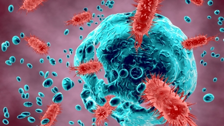 Europa de Vest, confruntată cu o epidemie de difterie în comunitățile vulnerabile