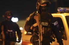 viena politie