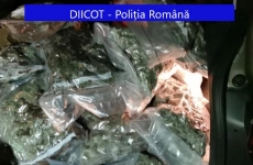 droguri