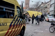 Haga, Olanda, Atac cuțit