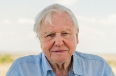 David Attenborough naturalist