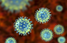 virus coronavirus covid covid-19 vaccin 