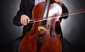 muzicant violoncel
