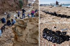 Israel plaje dezastru ecologic