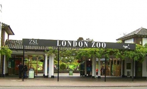 grădina zoologică din Londra