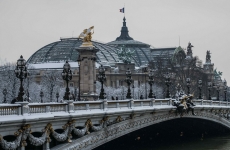 Grand Palais Franța Paris