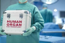Organe umane transplant