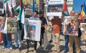 protest palestina timisoara