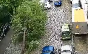copac cazut masini