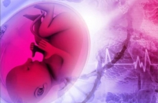 adn bebelus nastere prenatal sarcina gravida