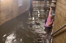 inundatii new york