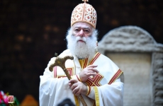 Patriarhul Alexandriei