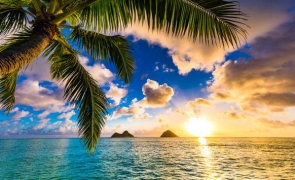 hawai 