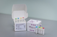 Molecular Genomics kit RT PCR