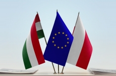 Ungaria Polonia UE