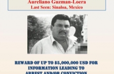recompensa Aureliano Guzman Loera