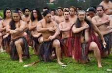 tribul maori