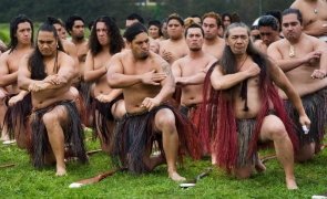 tribul maori
