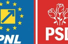 PNL PSD