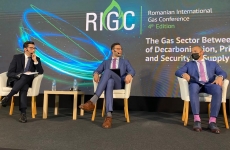 RICG dezbatere energie