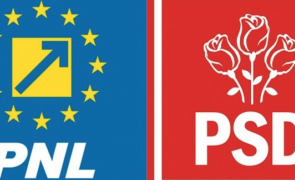 PNL PSD