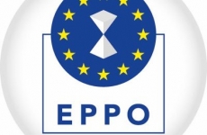 EPPO parchetul european