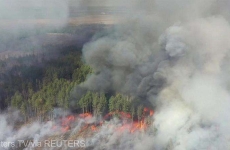incendii padure Cernobil