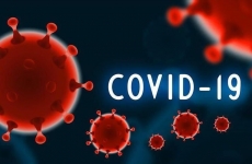 covid-19 coronavirus sars-cov-2