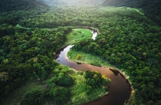 Amazonia padure brazilia