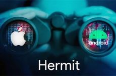 hermit 