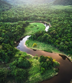 Amazonia padure brazilia