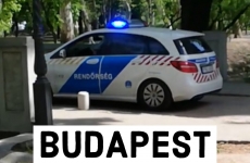 politie ungaria