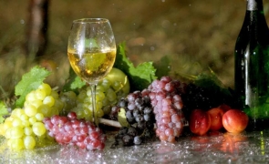 Podgoria Odobeşti vinuri