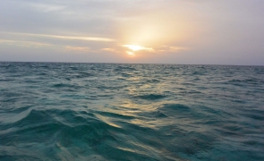 Kizimkazi Zanzibar ocean