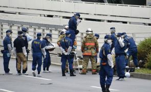 politie japonia