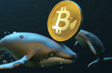 crypto balene
