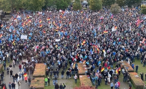 protest afd berlin