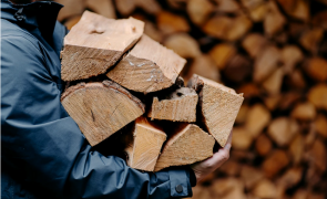criza lemne