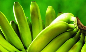 banane verzi