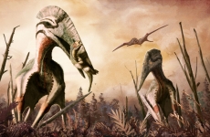 hatzegopteryx dinozaur