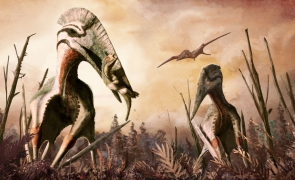 hatzegopteryx dinozaur