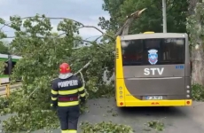 copac cazut autobuz Bucuresti