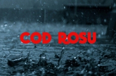 meteo cod rosu ploi