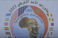 african lion 2023