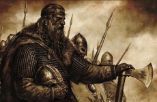vikingi