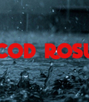 meteo cod rosu ploi