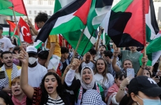 palestina protest miting