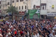 protest susținere palestinieni